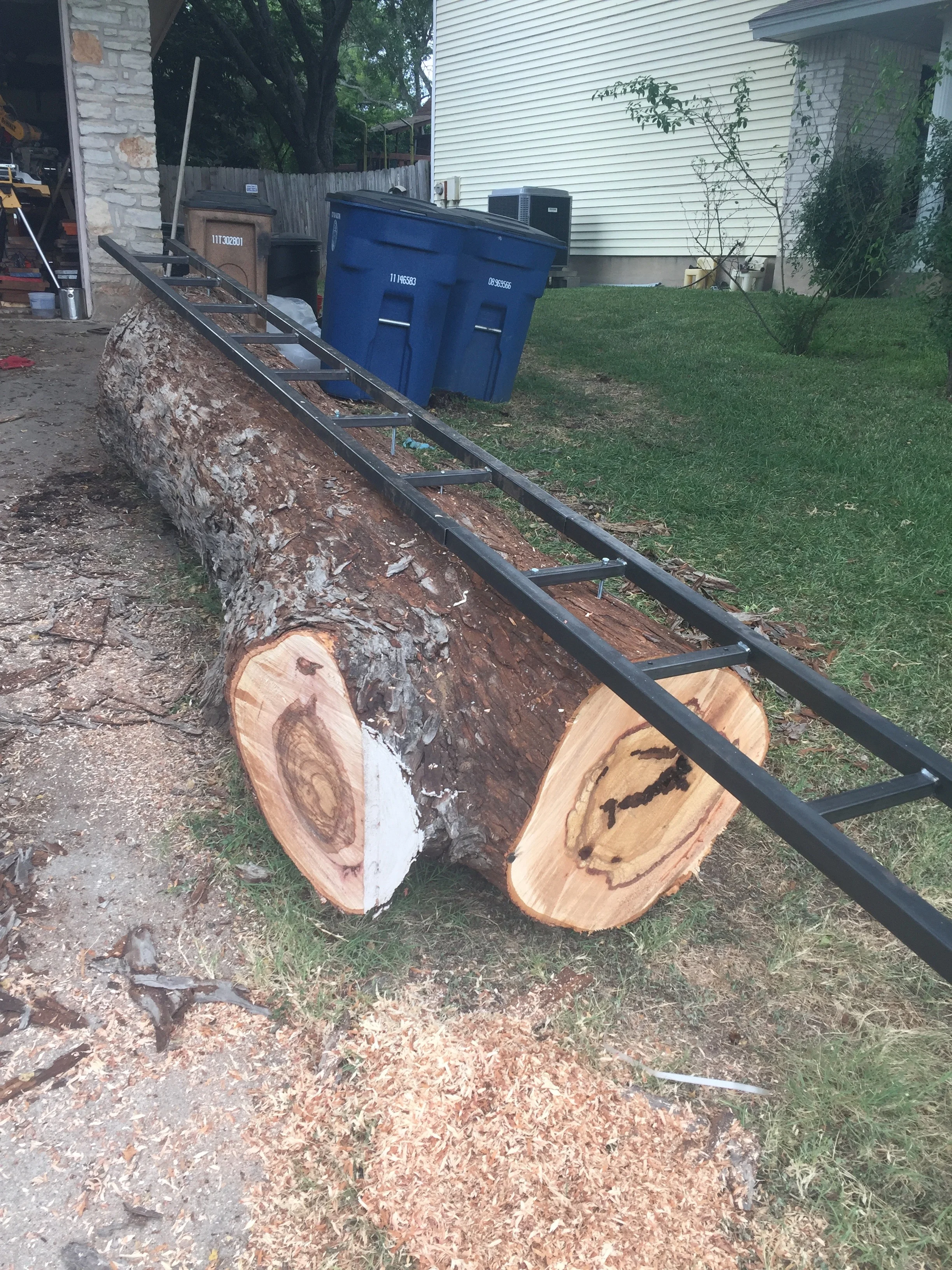 College Station Pecan
