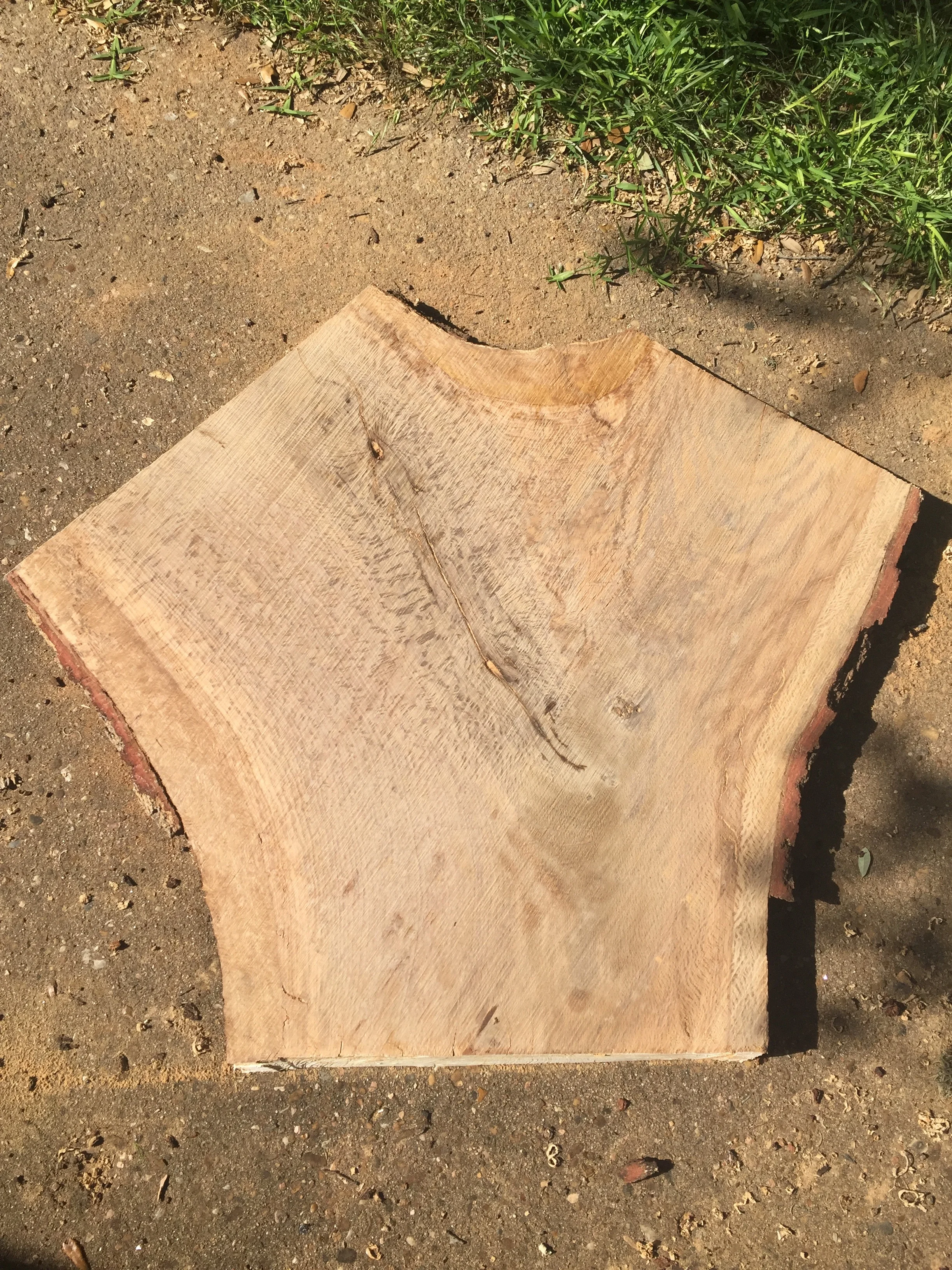 North Austin Live Oak