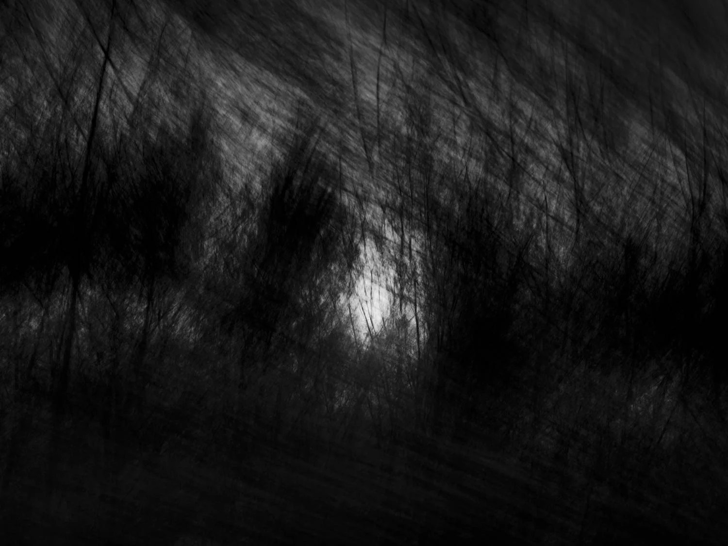 Tree_Boom_0143.jpg
