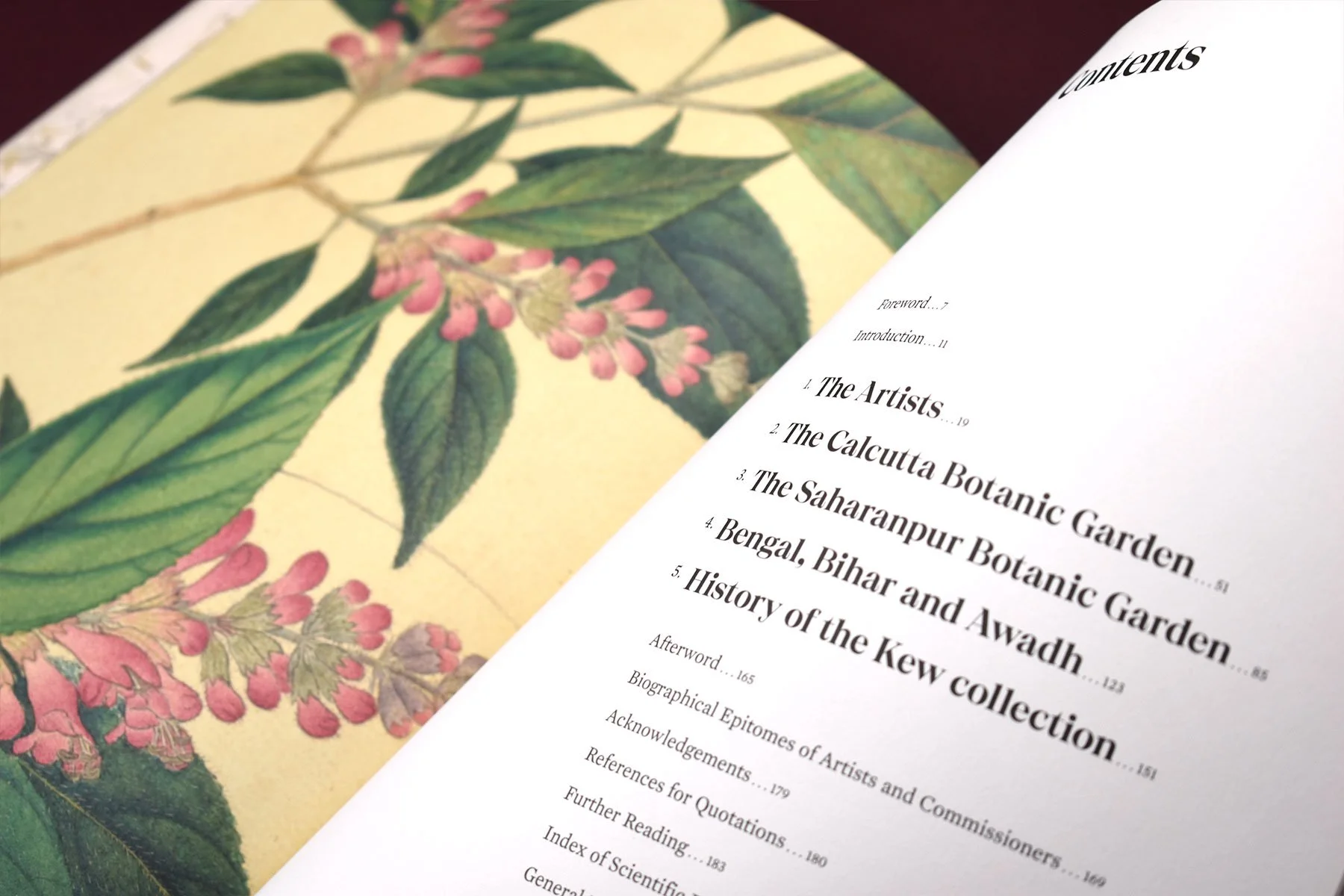 Flora-Indica-36.jpg