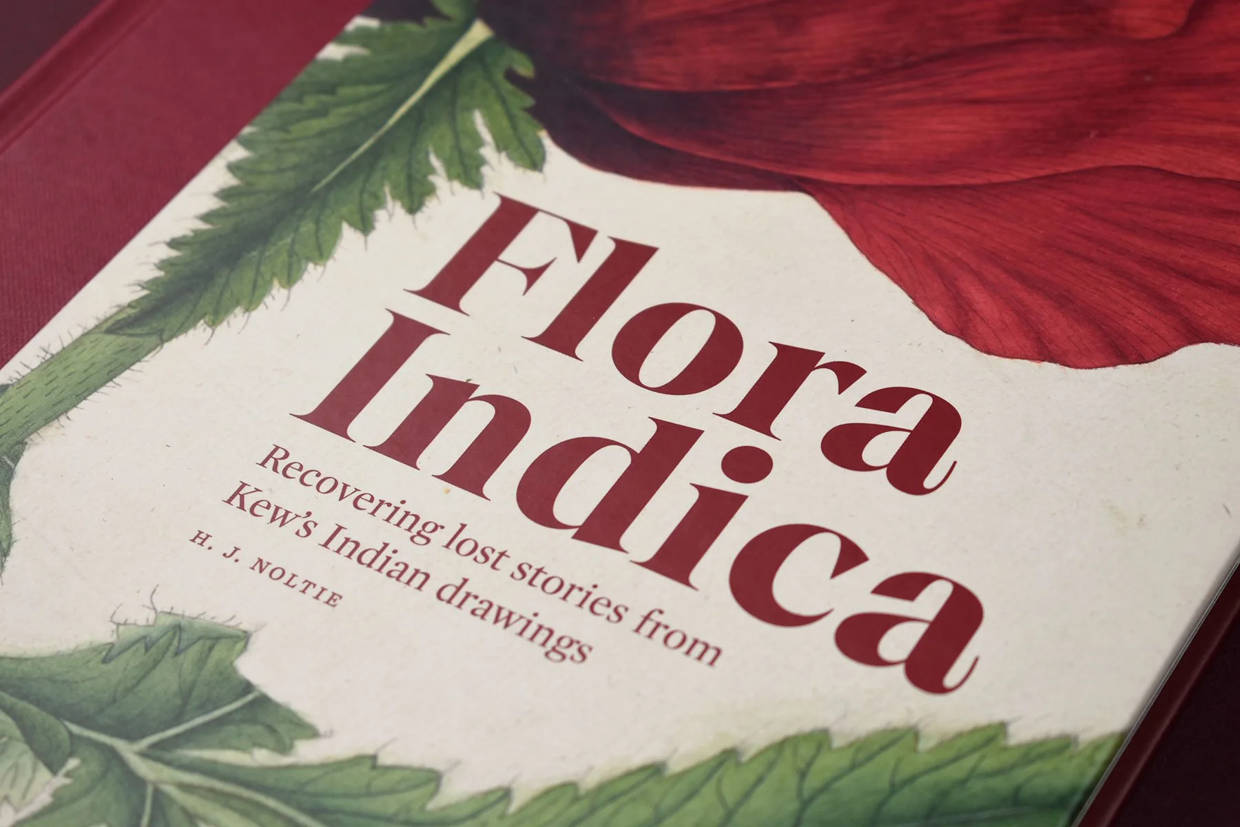 Flora-Indica-39.jpg