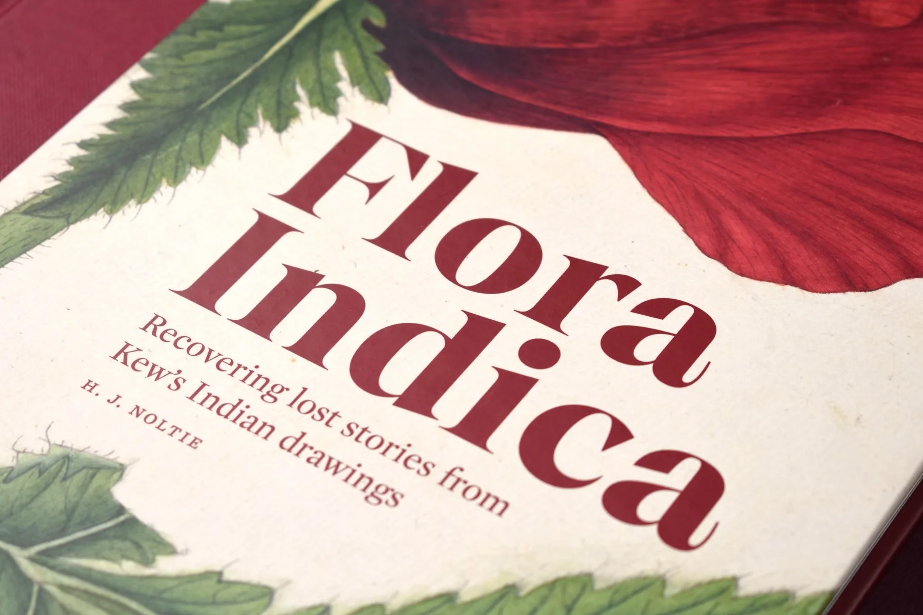 Flora-Indica-40.jpg