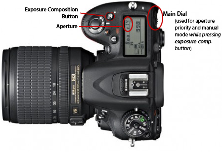 Bottom: Nikon