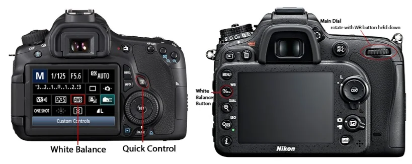 Left: Canon / Right: Nikon