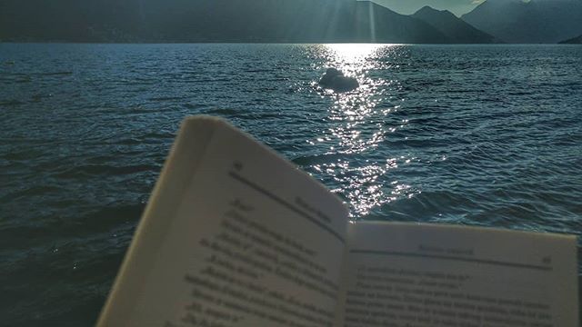 Our kind of #mondaymotivation 💙🐟📘 #vacation #viewofkotorbay #villapm #accomodationmontenegro #adriatic #kotor #dobrota #views #beachview #beachphotograhy #triptomontenegro #montenegro #montenegrolandscape #airbnb #bookingcom #airbnbsuperhost #guestsloveus #guestreviewreward #travelholic