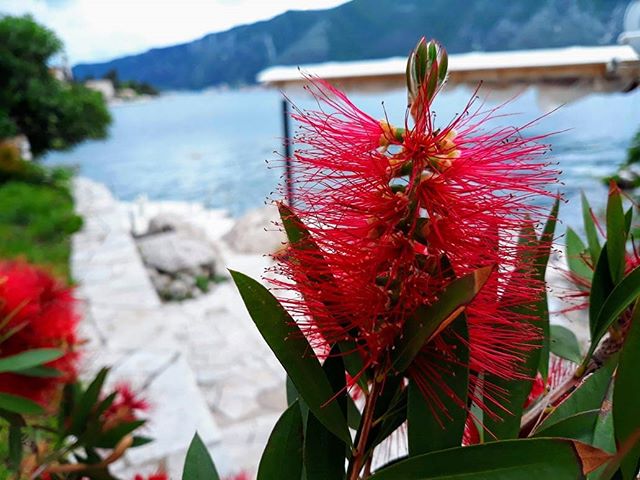 @tanja.p.p #positivevibesonly here at #villapm during rainy days🤗 #dobrota #kotor #triptomontenegro #travelholic #beachfront #apartmentsforrent #doorstepswimming #lovemontenegro #ig_kotor #guestreviewaward #guestsloveus #bookingcom #villapmcom #airbnb #airbnbsuperhost #adriatic #jadranskaobala #travelphotography #beautifulhotels #amazingplaces #montenegrolandscape @airbnbhosting @airbnbmontenegro