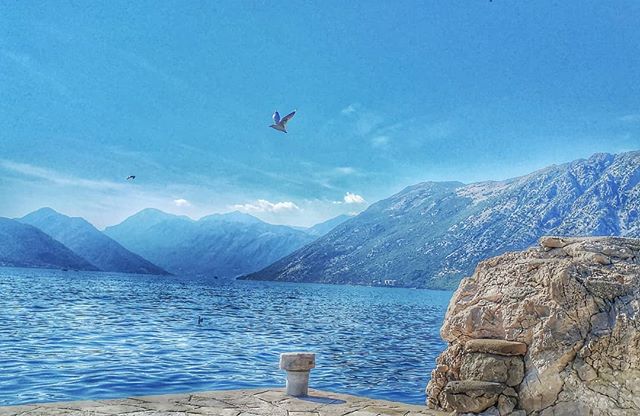 #mondayinspo #villapm #adriaticcoast #jadranskaobala #kotorbay #doorstepswim #dobrota #lovefromdobrota #views #bokabay #summerinmontenegro #travelphotography #beautifuldestinations #beautifulhotels #bokakotorska #houseatthebeach #apartmentsforrent #airbnbreview #airbnb #airbnbsuperhost #bookingcom #guestreviewreward #guestsloveus #enjoytheview #galebovestijene #beachfront
