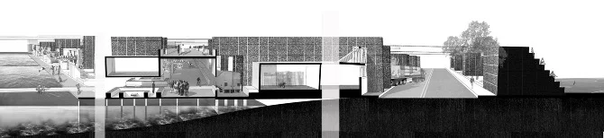 section website.jpg