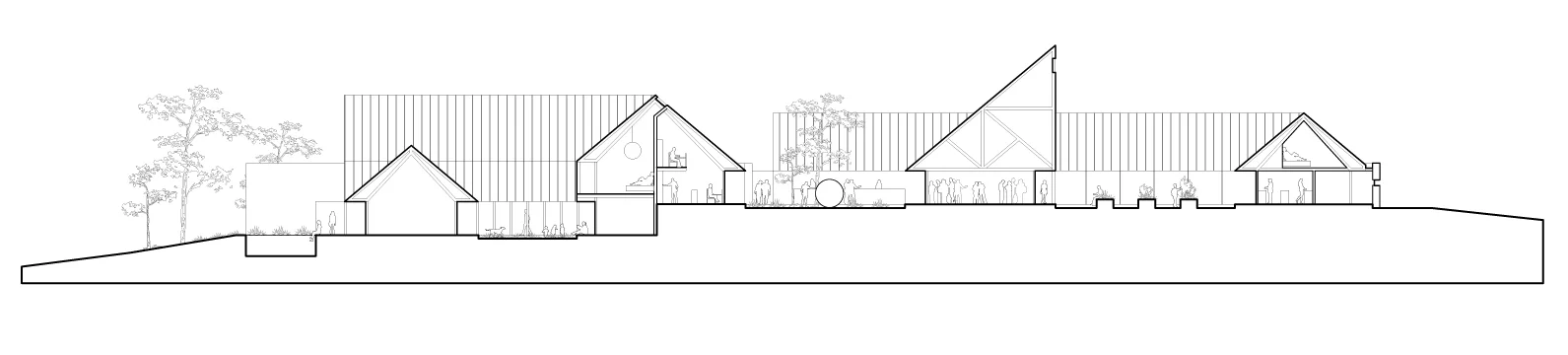 Long Section