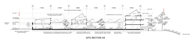 Site Section