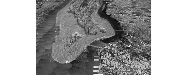 No greater symbol of the decline of Manhattans natural form exists than the oyster. At one stage its waterways contained massive oyster reefs capable of not only keeping the waters around New York relatively clean, but also feeding a large proportion of the city’s poor. For the humble oyster is an incredible creature: a rich source of iron, zinc and protein, and therefore a good alternative to fish and red meat, it can also filter up to 150 litres of water per day. The original oyster population of the Chesapeake Bay was able to filter its entire volume every 5 days. The fledgling New York grid once played host to thousands of oyster carts plying their trade and oyster fishermen lining the ports.Since the turn of last century the New York oyster has fallen into a steady decline, bearing the brunt of the city’s population booms.