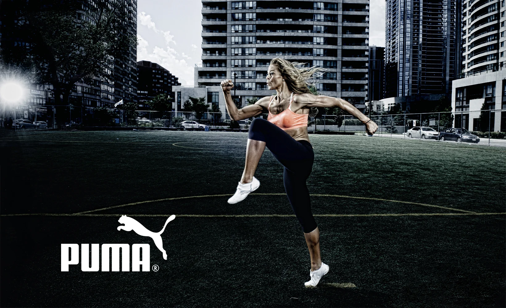 Puma-2a.jpg