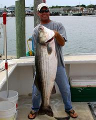 50lb striper.jpg