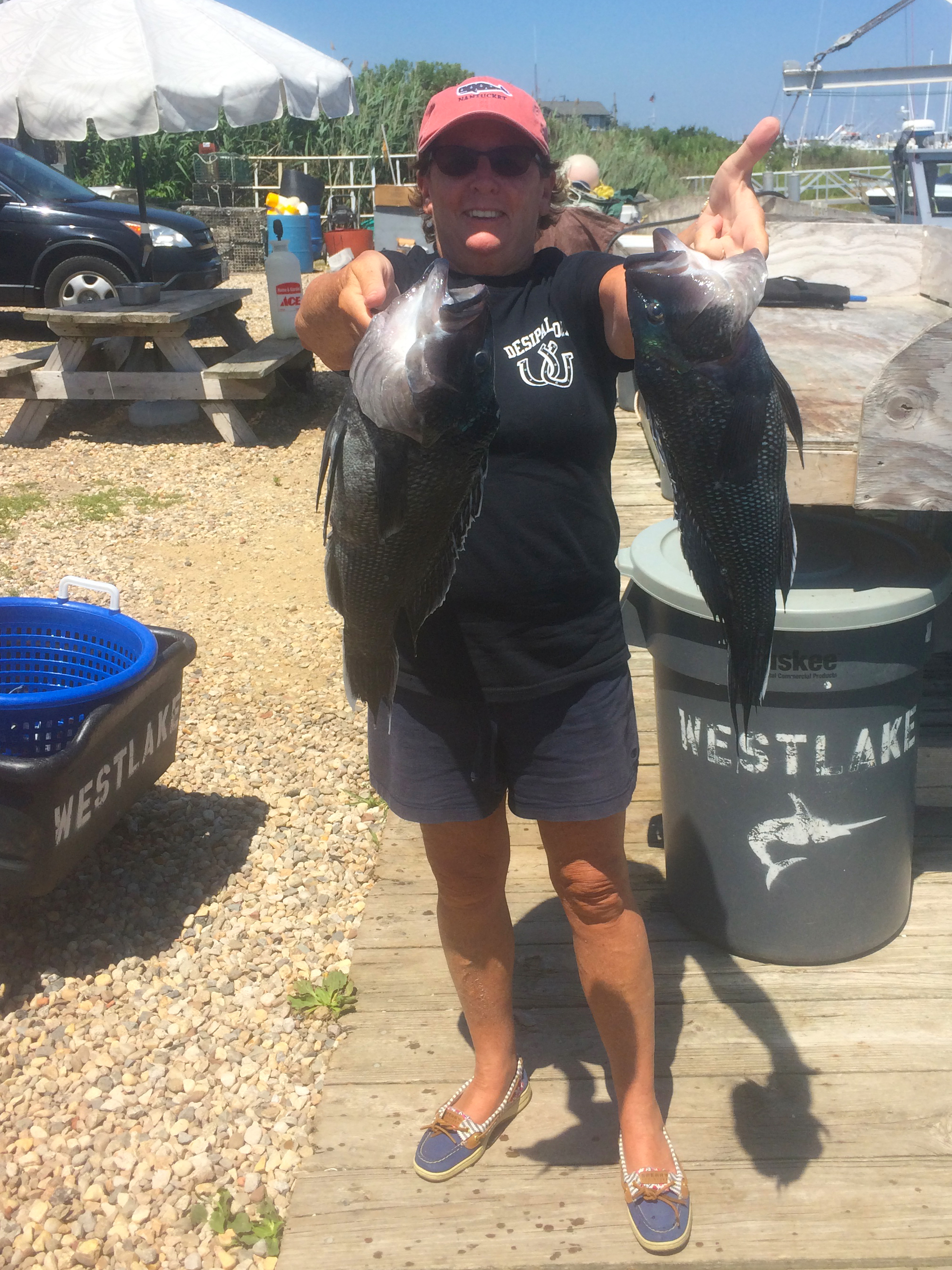 mimi's seabass.jpg