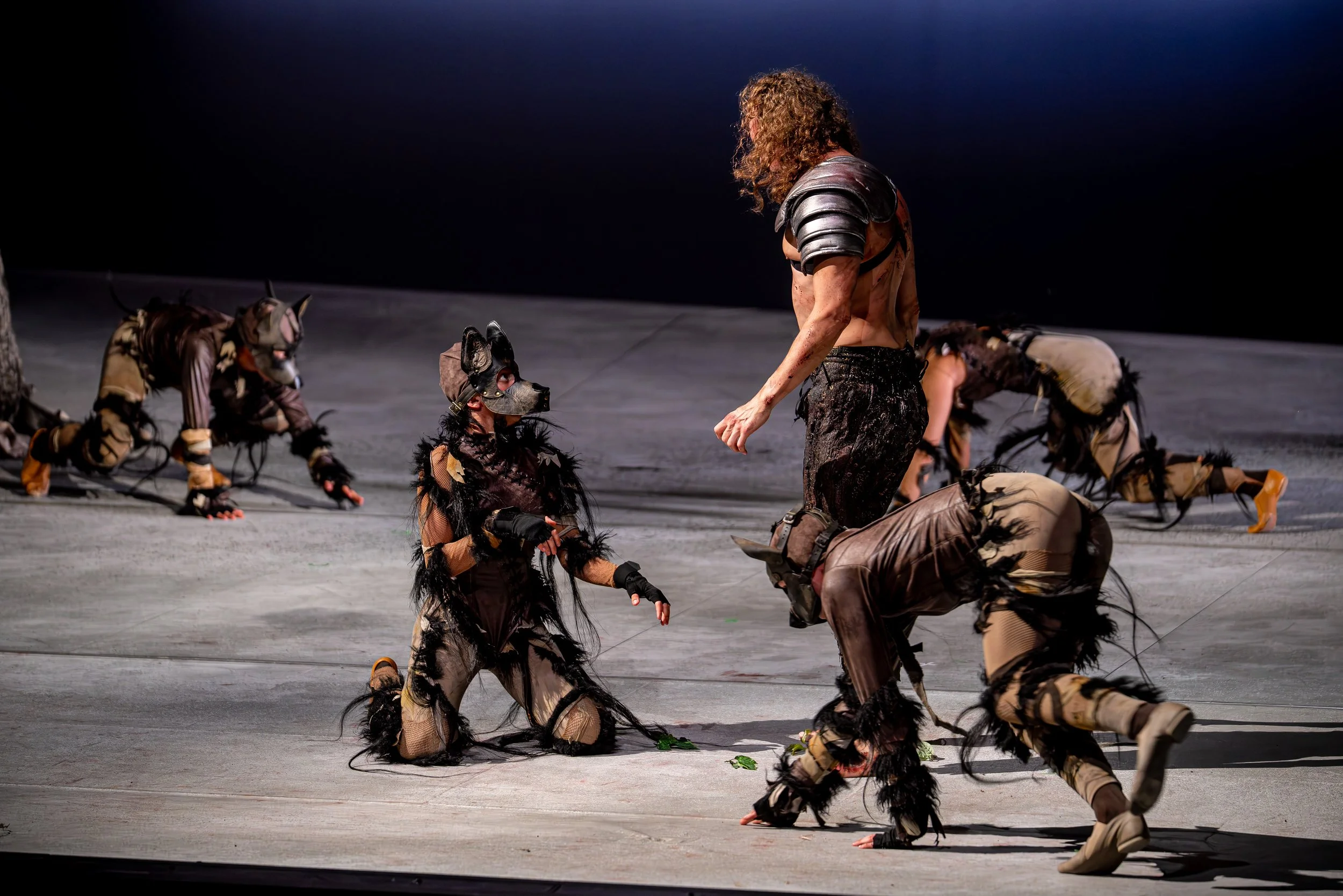 TheaterMD_Tannhaeuser_GP_075_Foto_Andreas_Lander.jpg