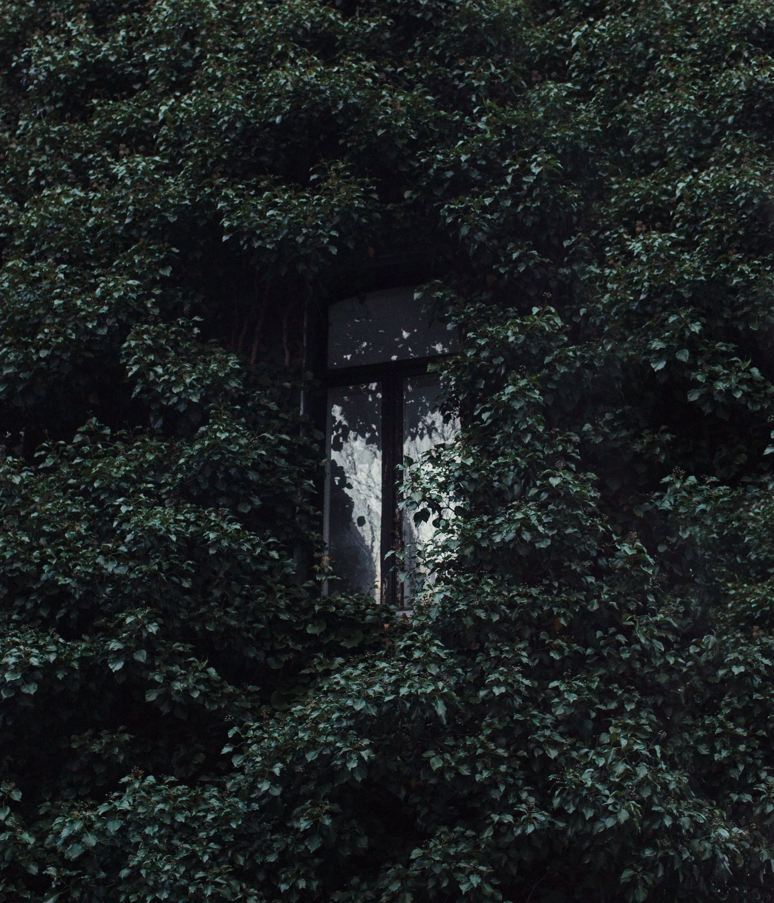 _MGL0226.jpg