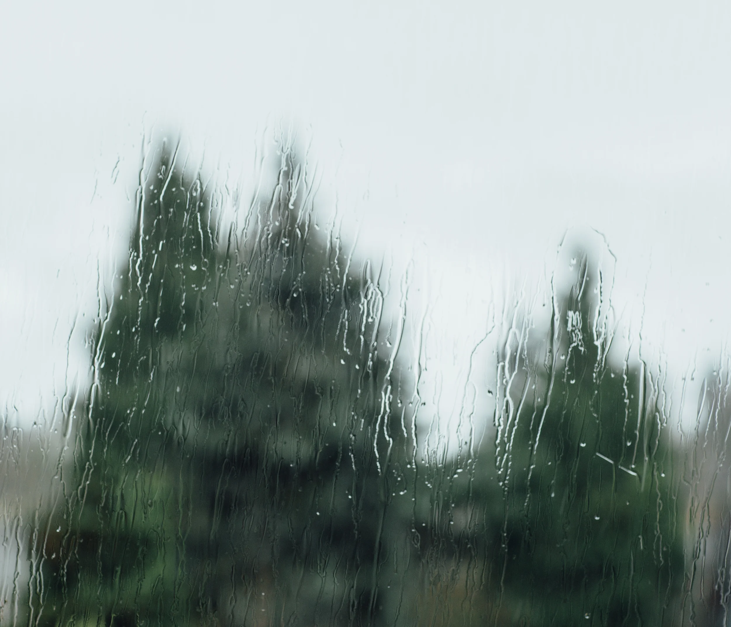 _MGL8584.jpg