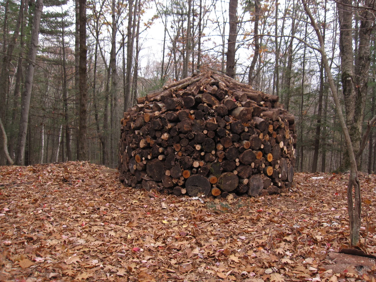  The holz hausen created&nbsp;has a twelve foot diameter and a height of nine feet.  