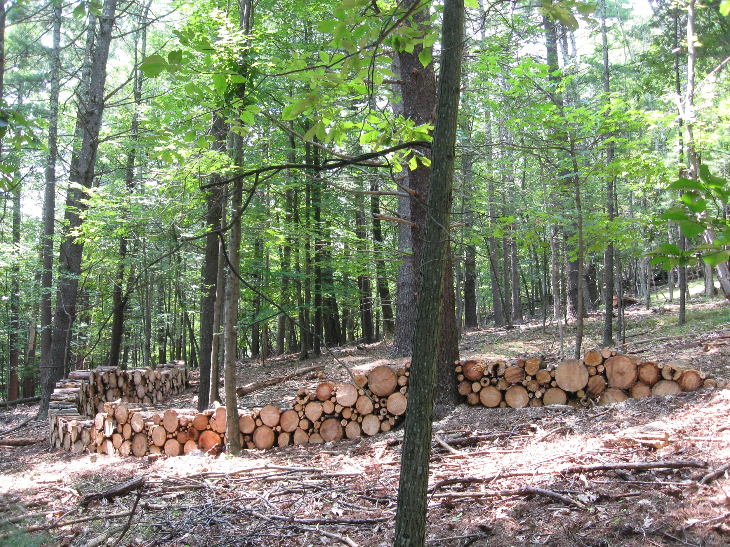  Later in another area of the same propery, we redressed the&nbsp;issue in a homage to a Mr. Goldsworthy. 