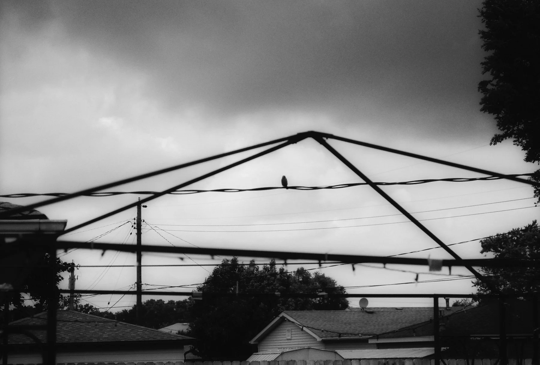 tmax exposure