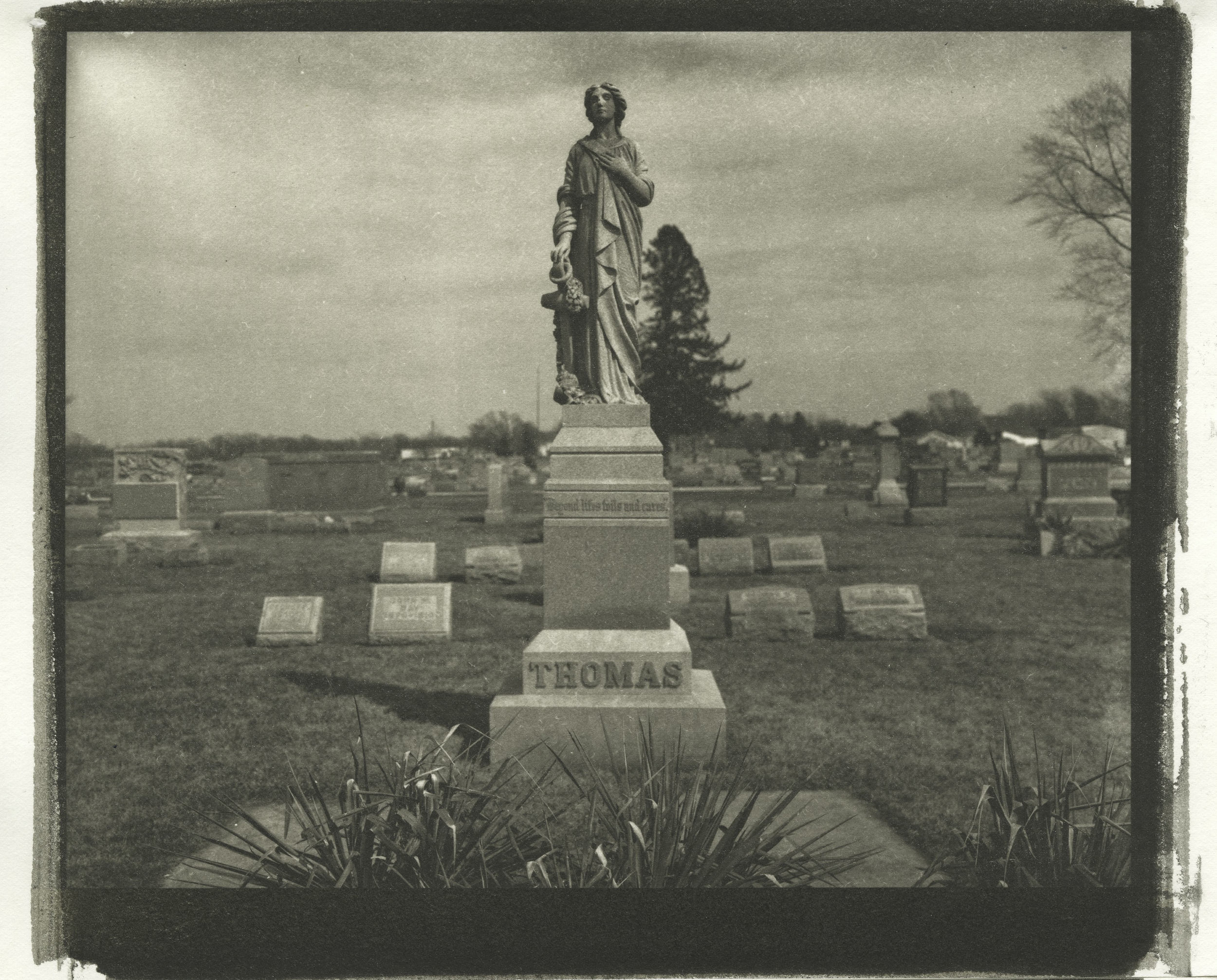  palladium platinum print 