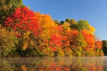 Fall3.jpg