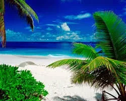 beach.jpg