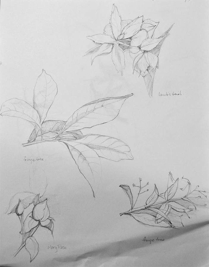 Garden_08.jpg