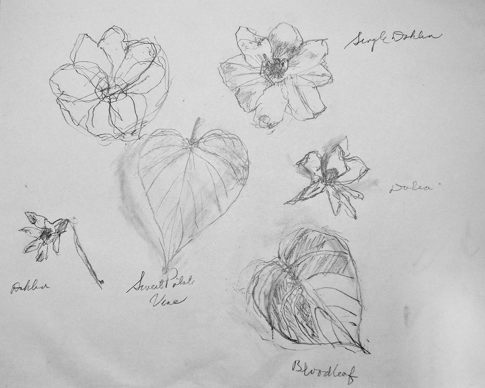 Garden_11.jpg