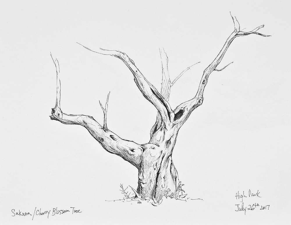 631,569 Tree Sketch Images, Stock Photos & Vectors | Shutterstock