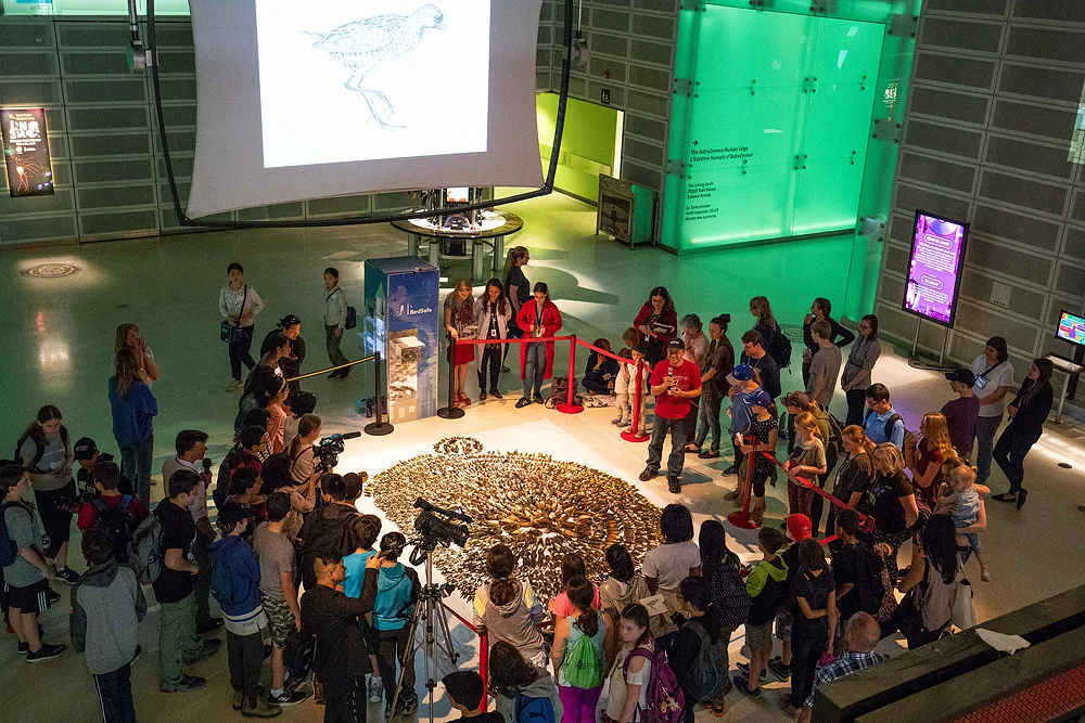 Speaking about Birds & Art during the 2018 FLAP Layout at the Ontario Science Centre. Photo: Meghan Huryn - www.meghanhuryn.com