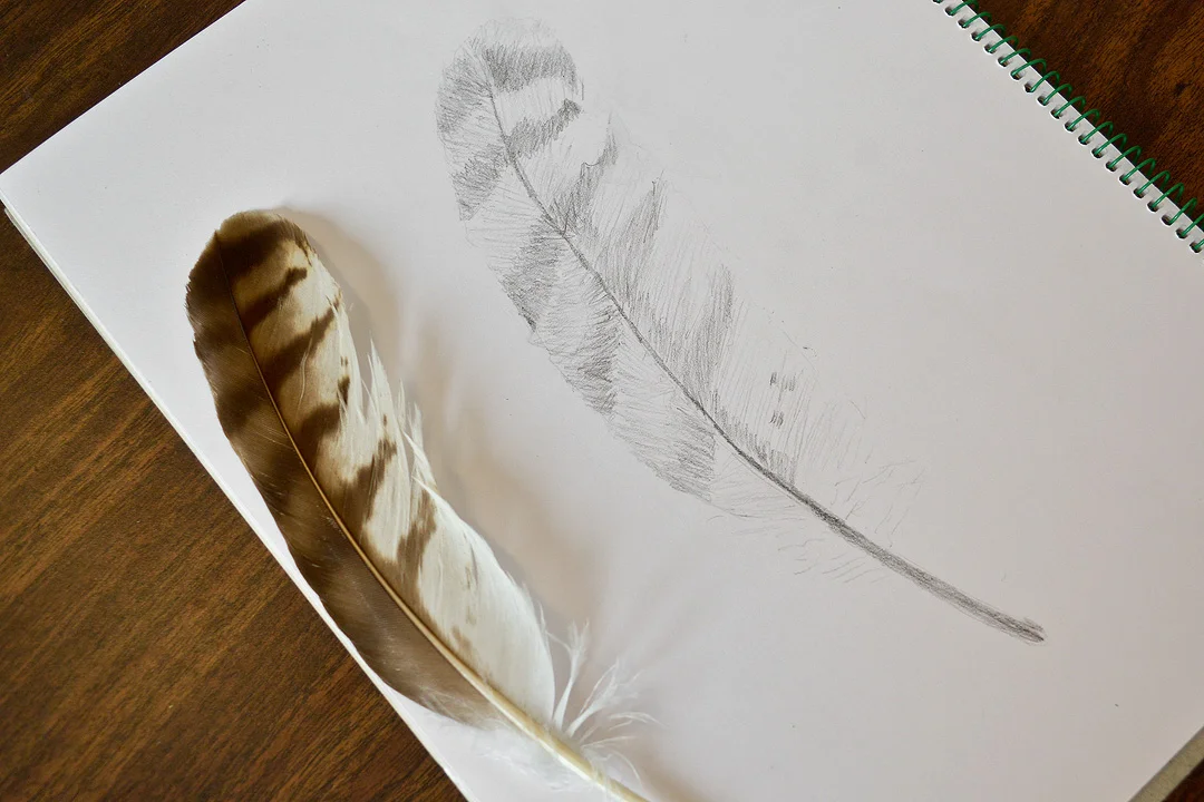 NatDraw_Wk1_04.jpg