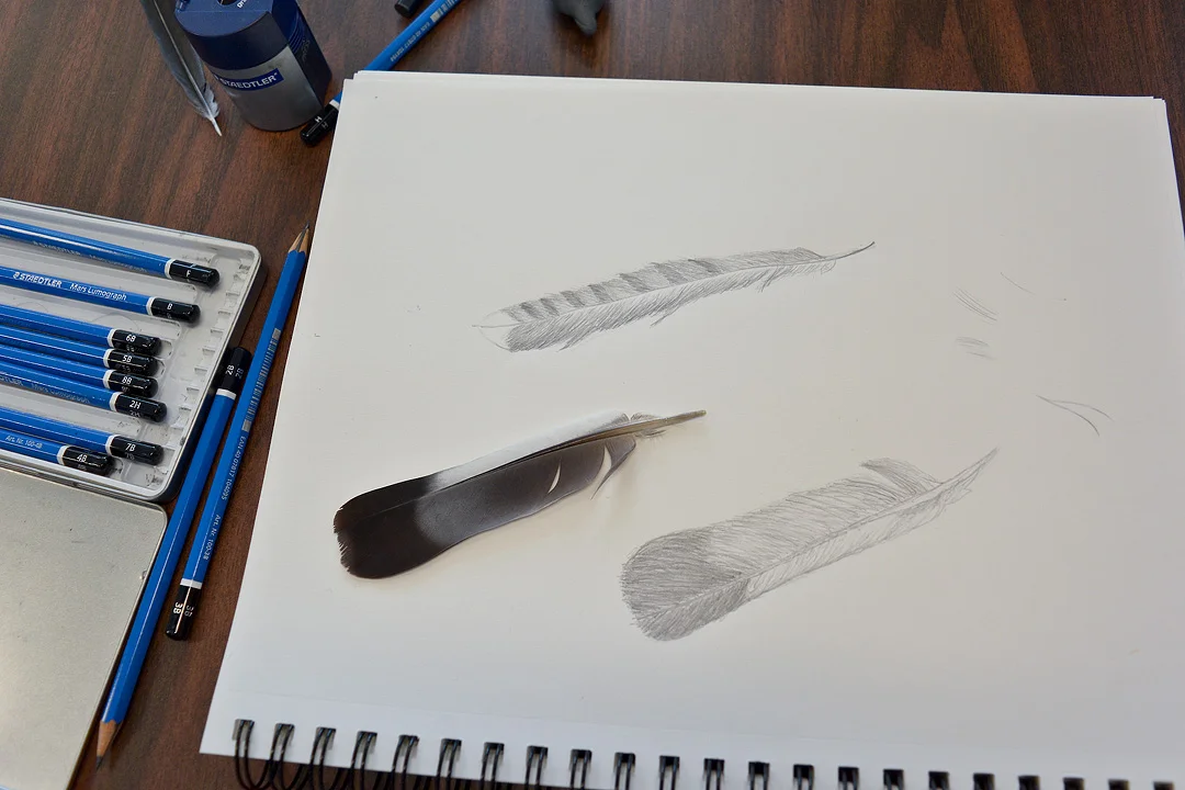 NatDraw_Wk1_10.jpg
