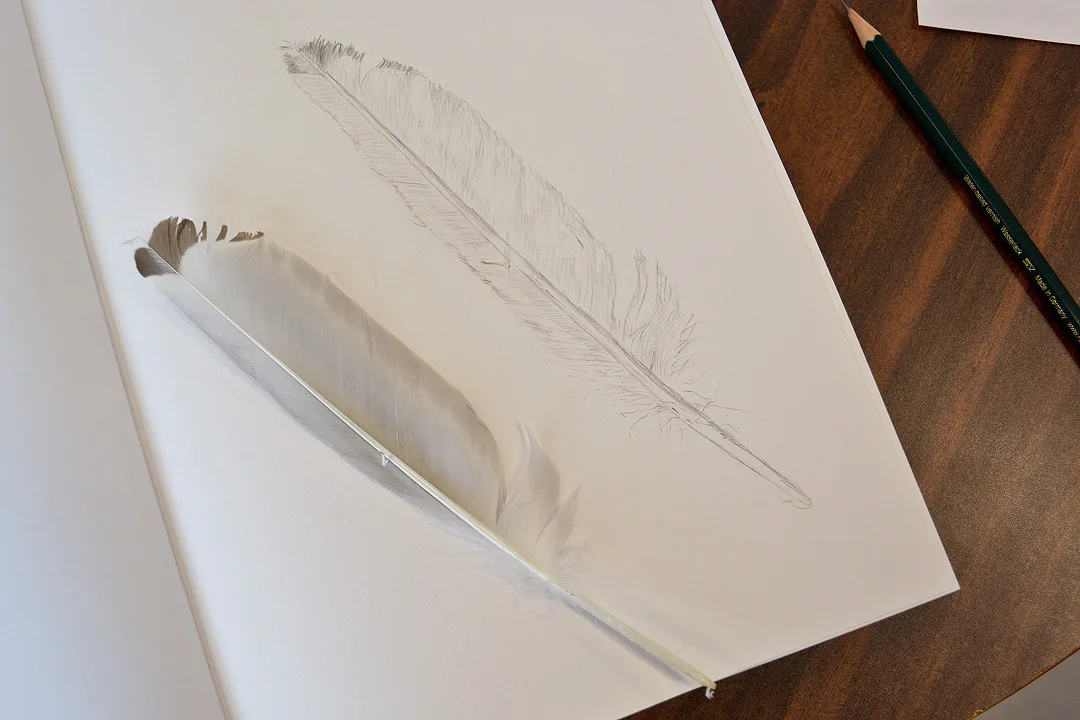NatDraw_Wk1_13.jpg