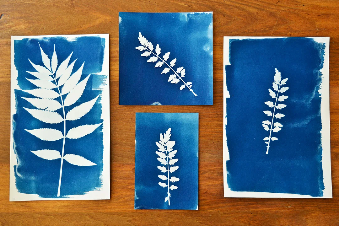 Cyanotype_Prints.jpg