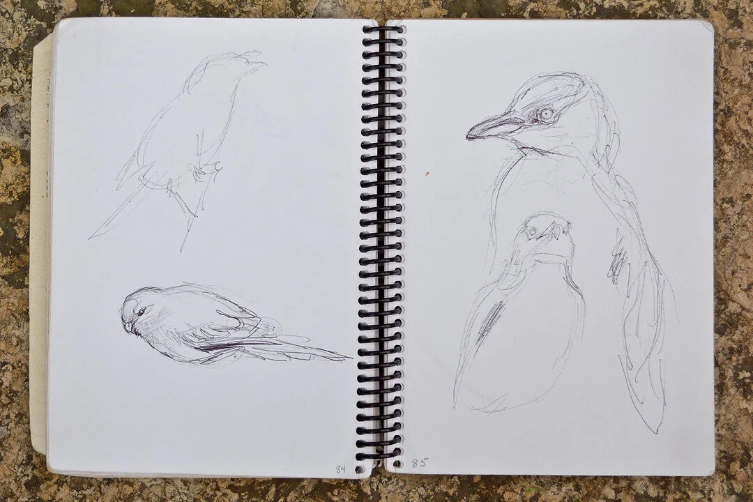 Sketch_09.jpg