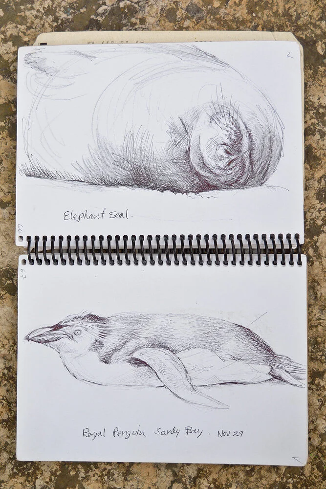 Sketch_13.jpg