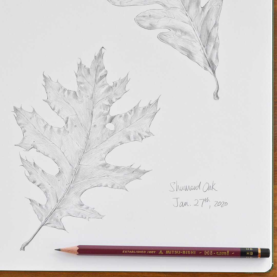 Hi-Uni Pencil, Sketching Set | Mitsubishi Pencil Co.