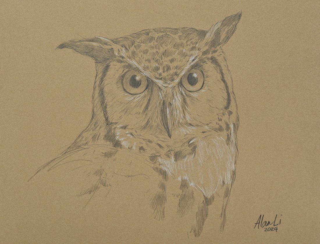 Great Horned Owl