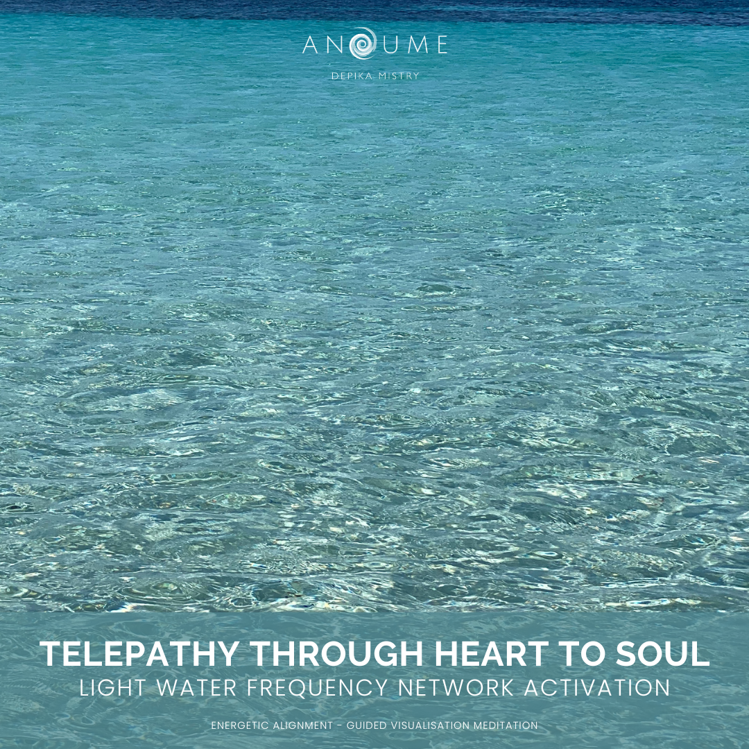 August 2026 Energetic Alignment Meditation