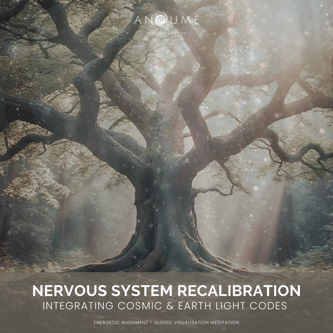 March 2026 Energetic Alignment Meditation