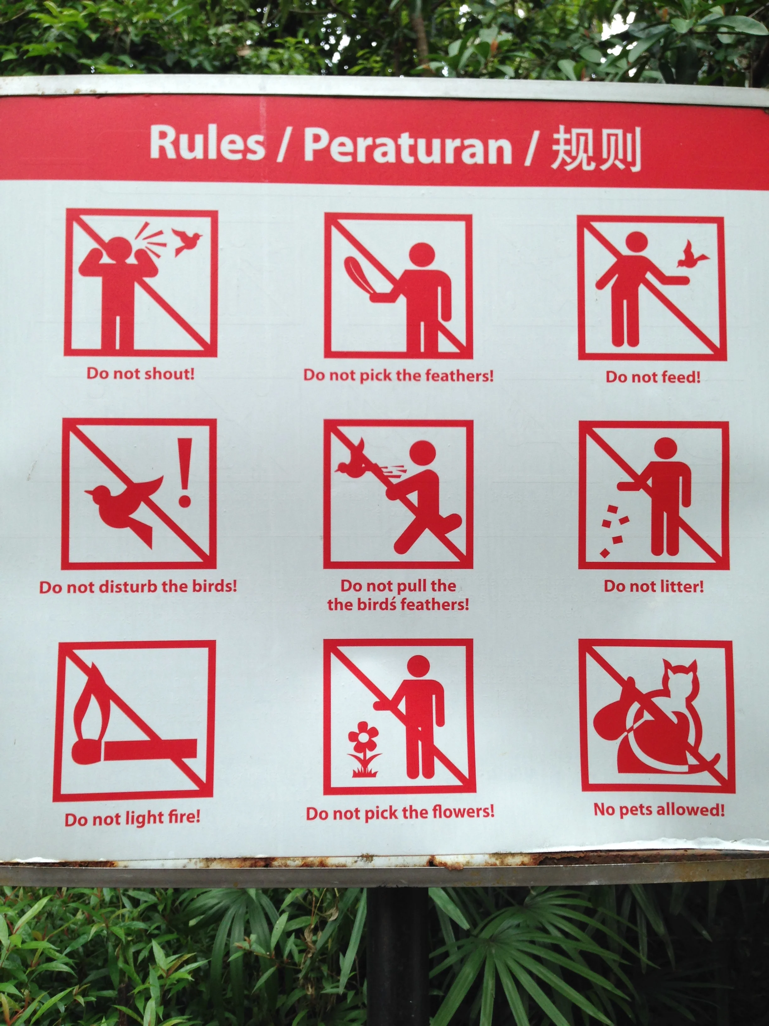 COMPANY: MPO & Bird Race 2015 - 2nd May 2015