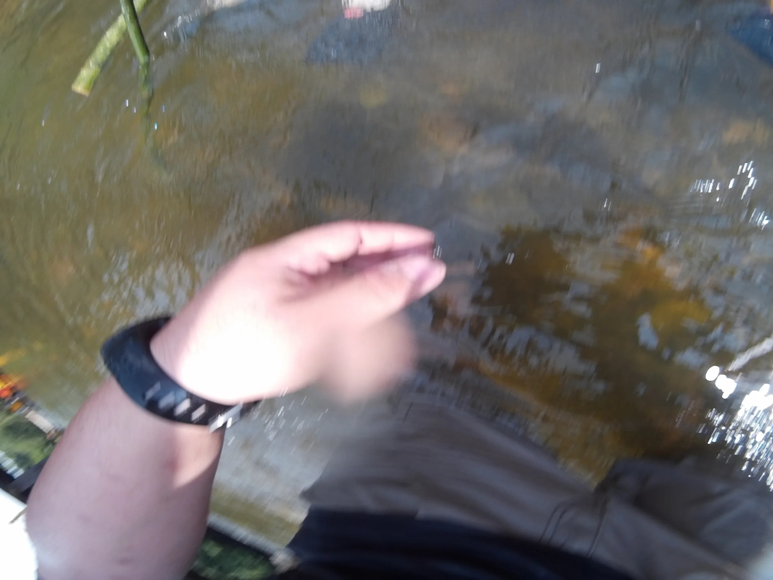 2014_0121_024620_006.JPG