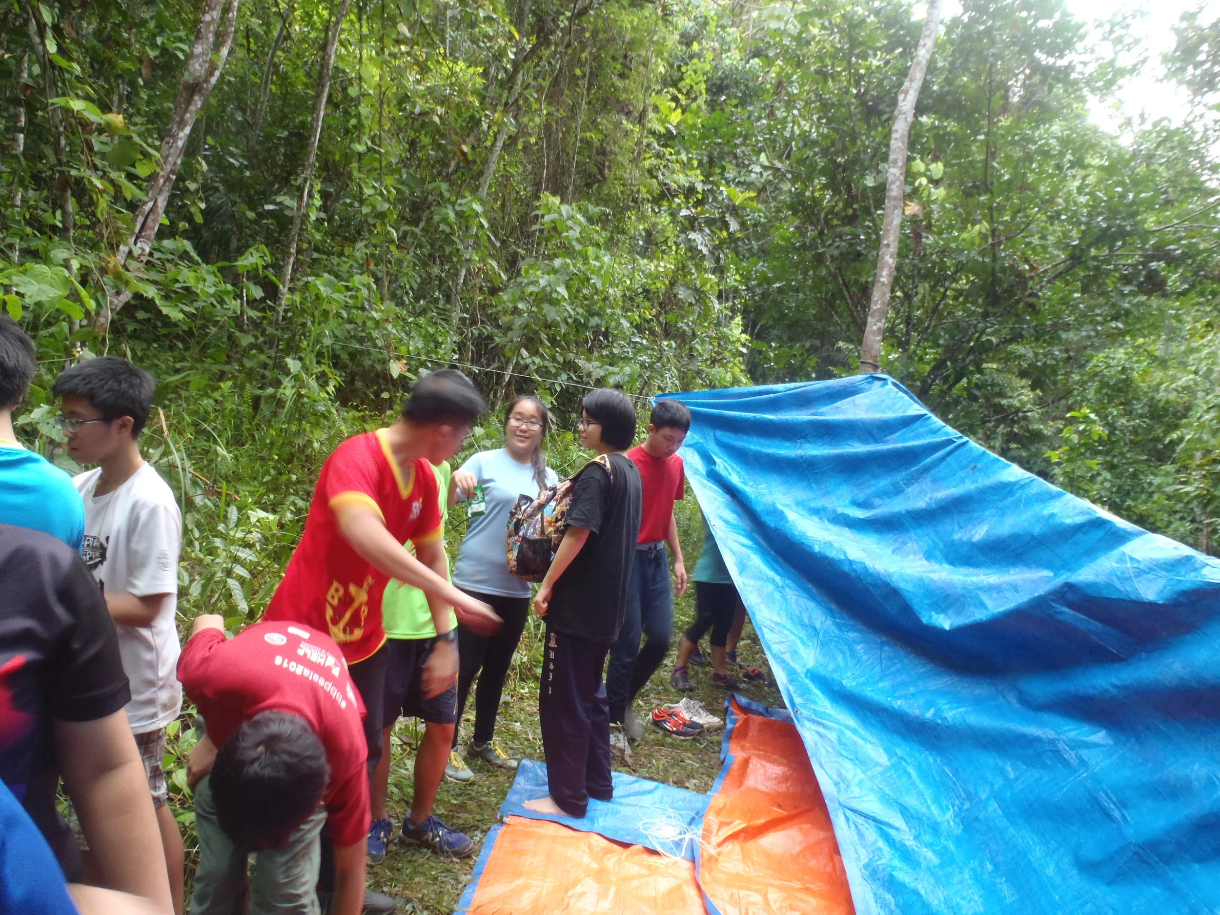 P1011597.JPG