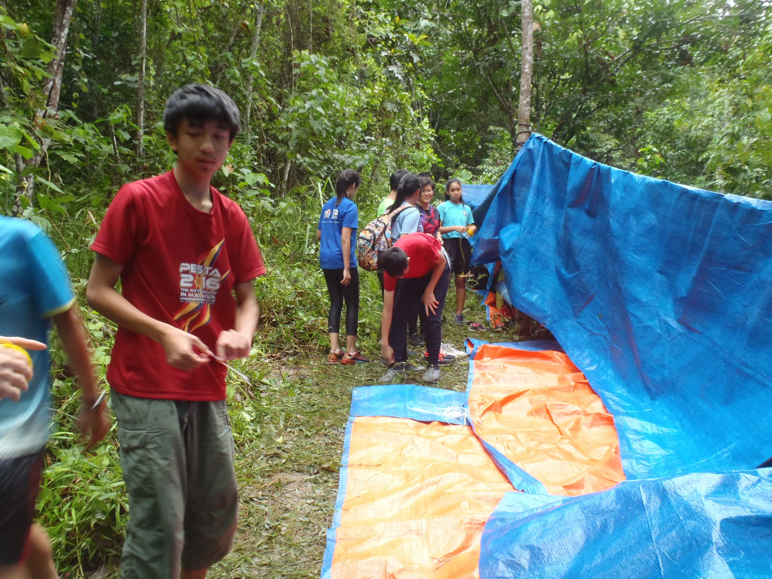 P1011598.JPG