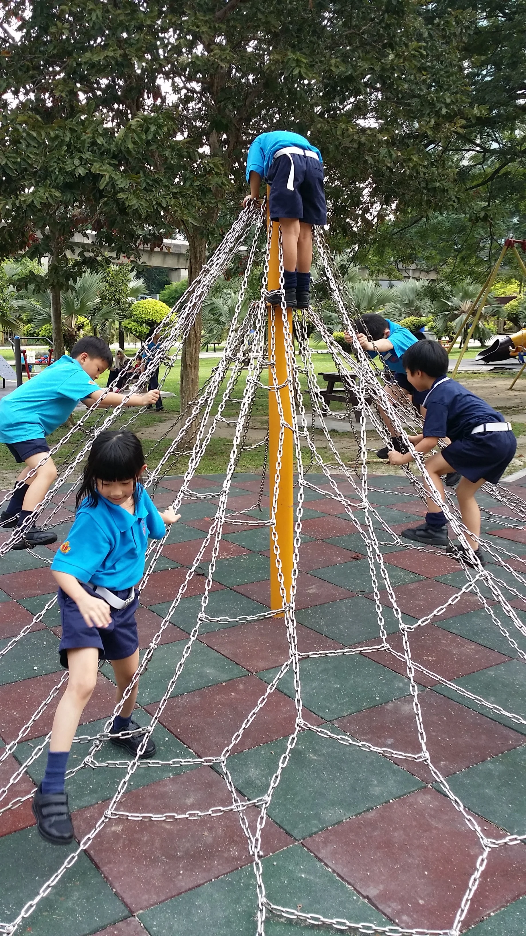 20180922_170056.jpg
