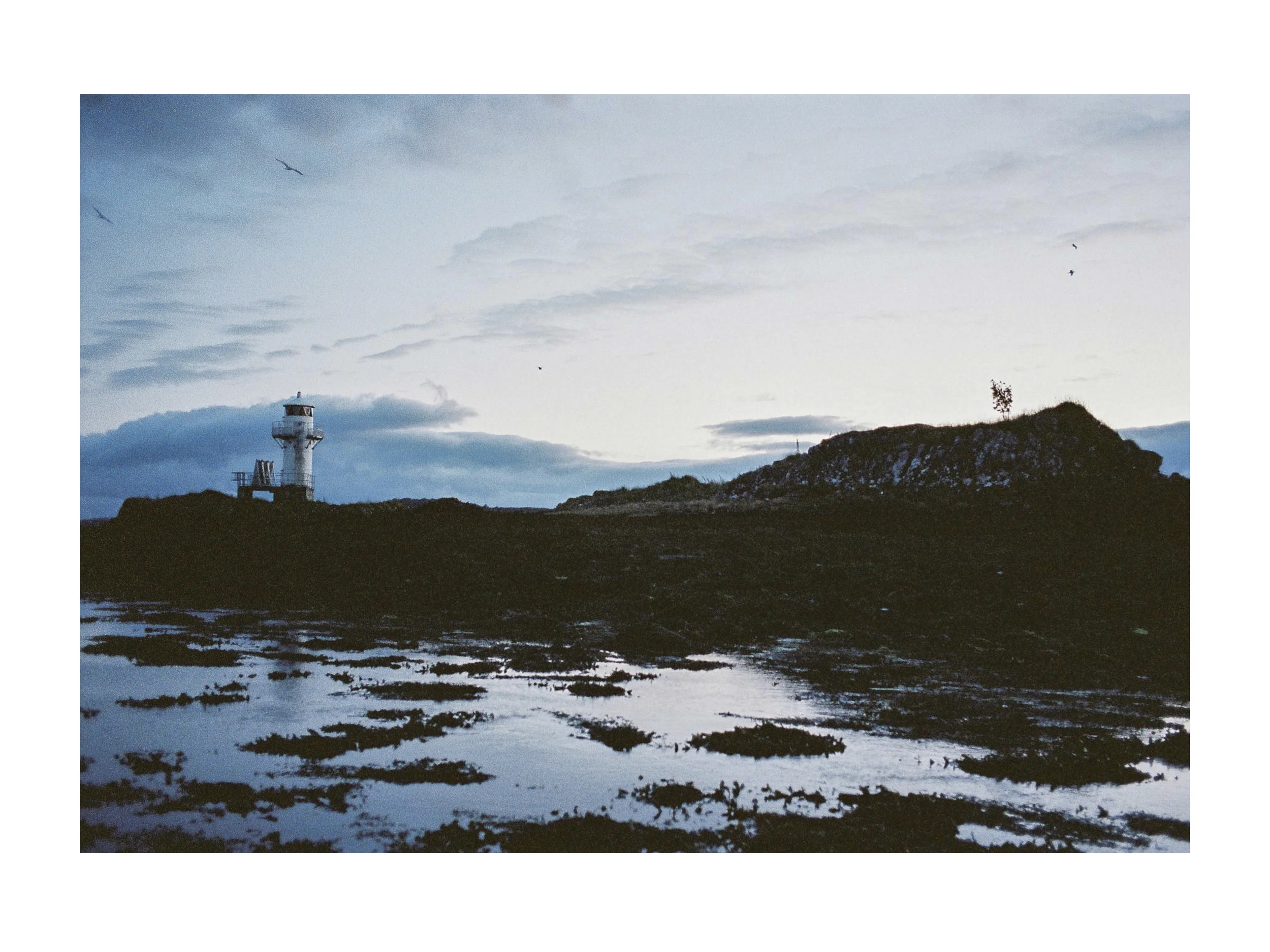landscape5.jpg