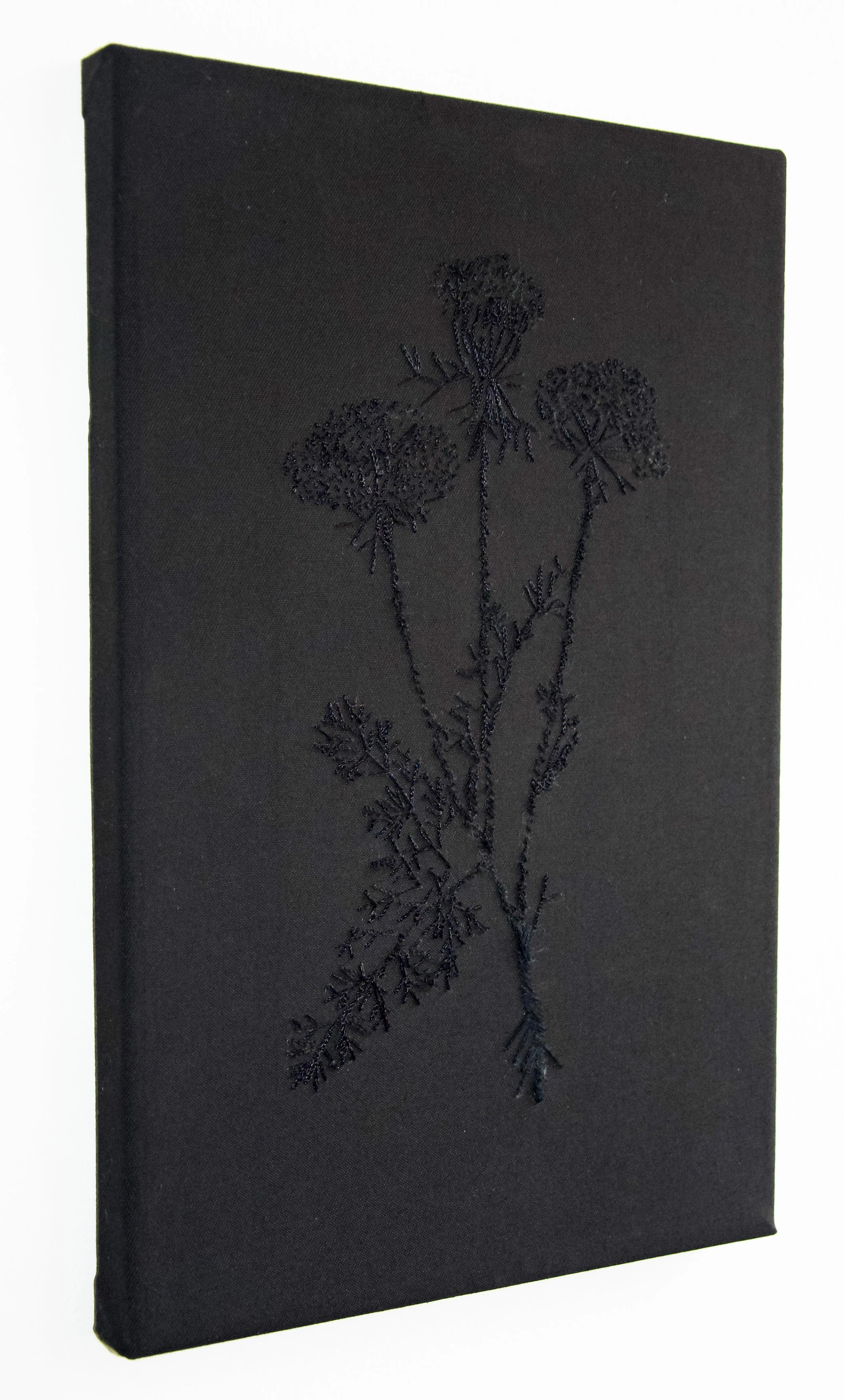 Wilde Möhre - Handstickerei auf schwarzer Baumwolle, 34 x 22 cm, 2017