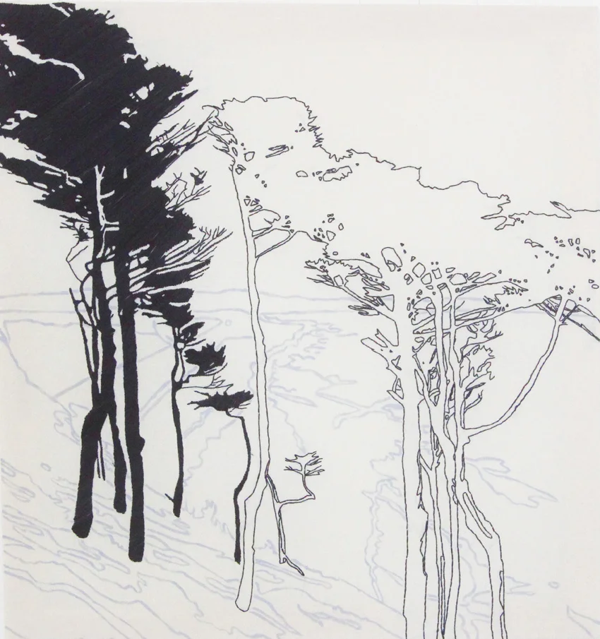 Skizze von mehreren Bäumen, einige in Schwarz, andere nur Konturen, auf weißem Hintergrund.