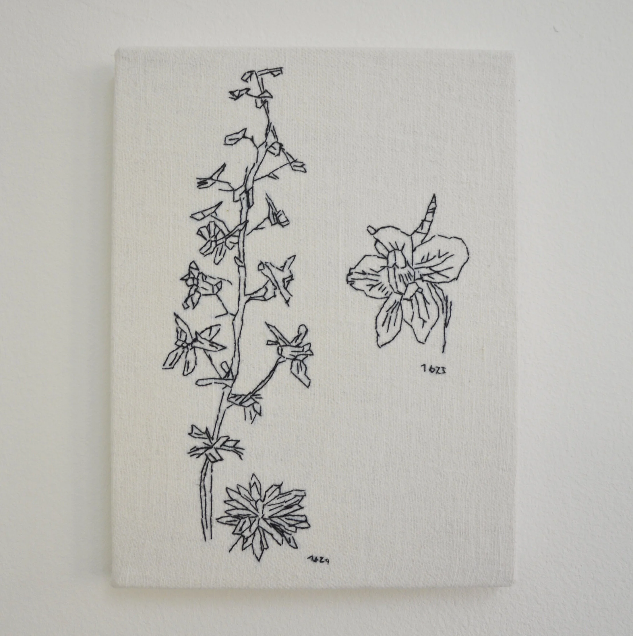 Skizze von einer Pflanze und einer Blume, jeweils in einfachem schwarzen Linienstil, mit Jahreszahlen 1624 und 1625 daneben.